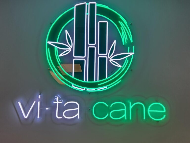 2023 Vita Cane 1 768x576